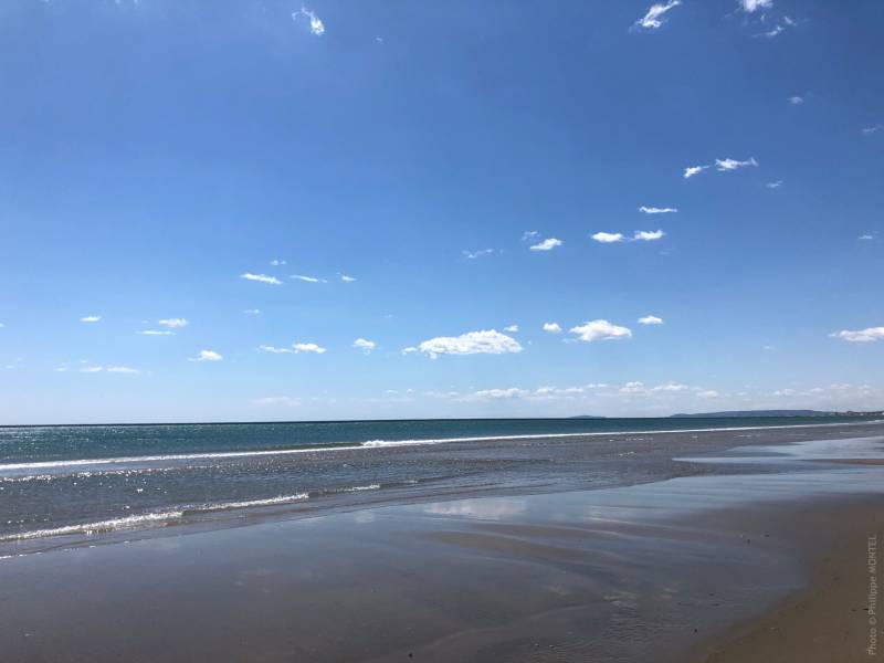 Baignade en Mer avec permis