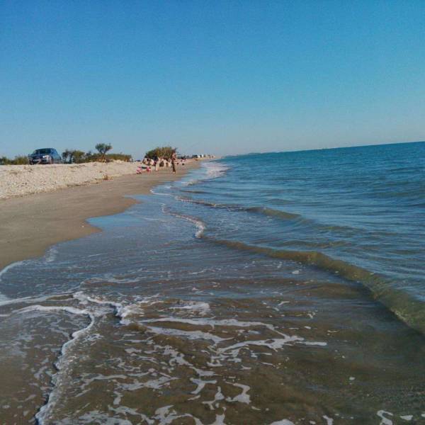 Circuit avec Permis - Camargue Vue Mer