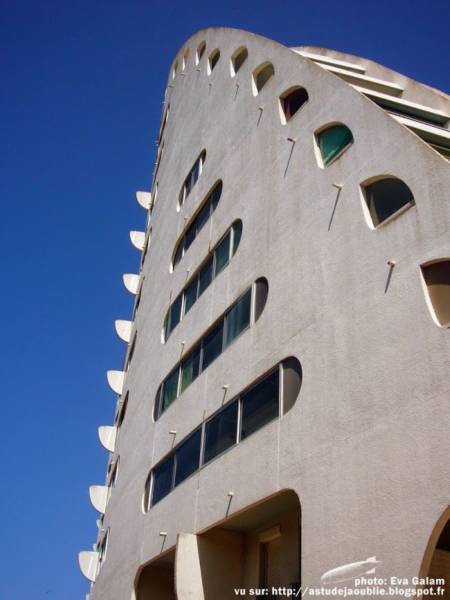 Circuit avec Permis - Camargue Vue Mer